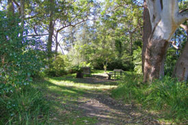 Picnic area